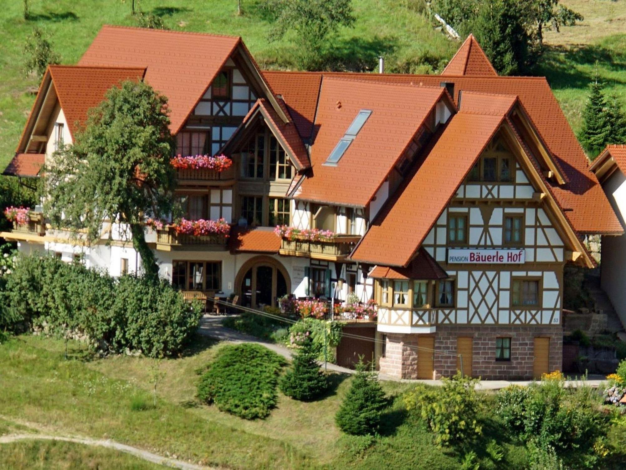 Baeuerlehof Hotel Seebach Ngoại thất bức ảnh